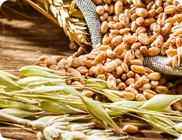 How to beat those cravings Make the Right Carb Choices! Glycemic Index Versus Glycemic Load