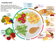 Portion size