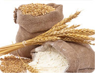 Whole grains and their benefits