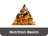 Nutrition Basics Nutrition Basics