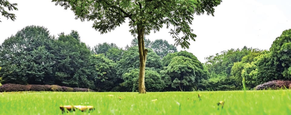 Building a sustainable planet the smarter way