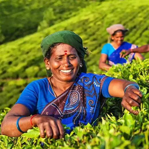Benefits of CHOLADI Final 2