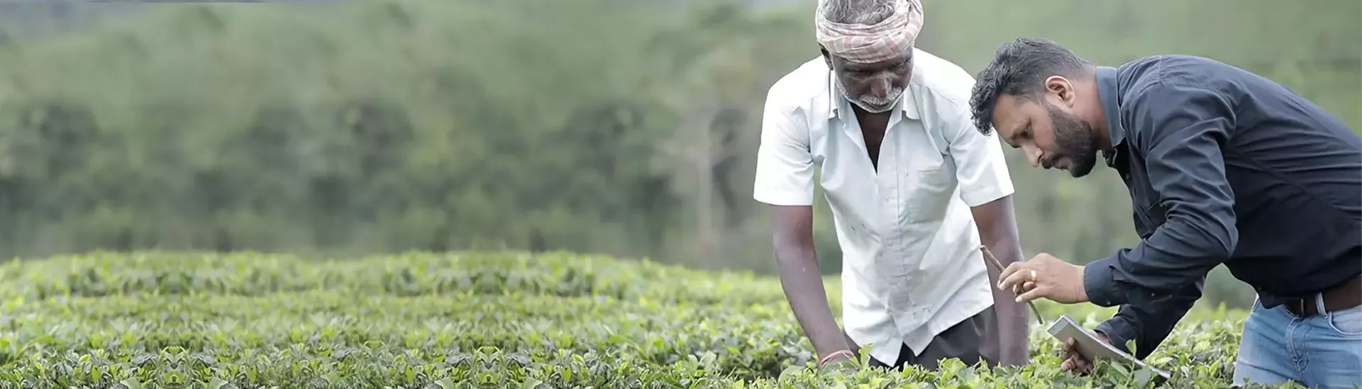 Embracing sustainability