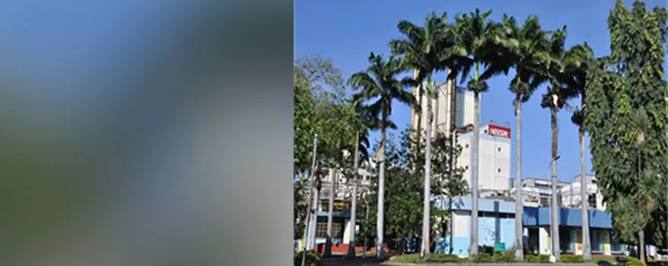Bringing Water Stewardship to Sugarcane fields