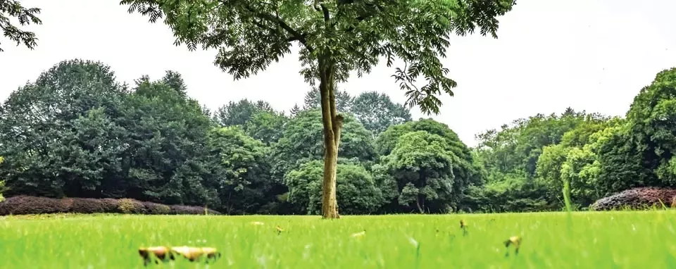 Building a sustainable planet the smarter way